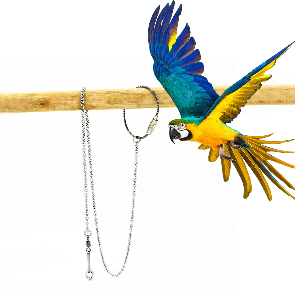 Gymnastic Rings Wooden - 1Pcs Pet Parrot Leg Ring Ankle