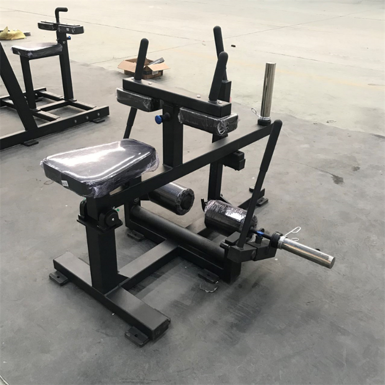 Muscle Training Sports Gym Equ - đánh giá và giá Seated Calf Raise