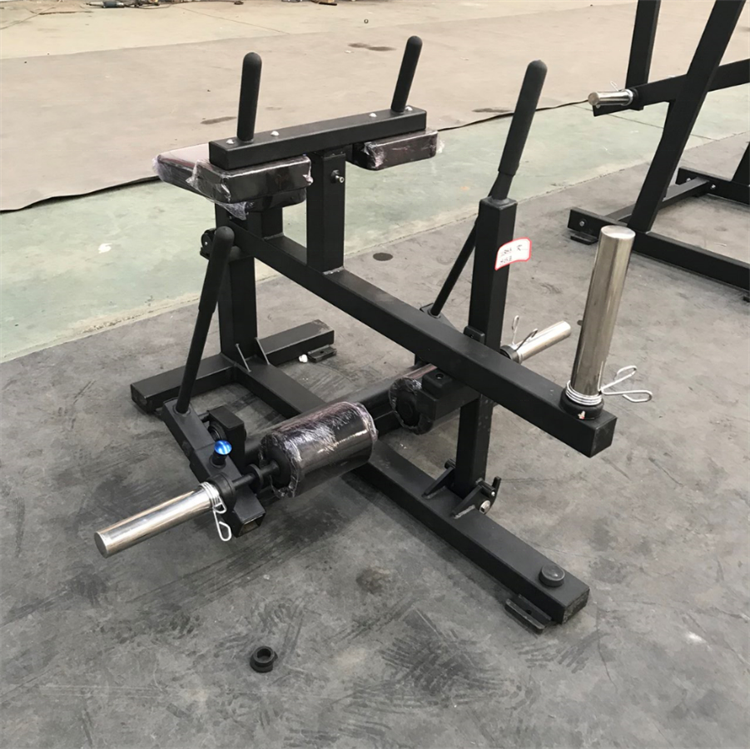 Muscle Training Sports Gym Equ - đánh giá và giá Seated Calf Raise