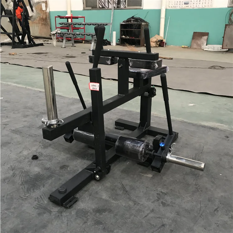 Muscle Training Sports Gym Equ - đánh giá và giá Seated Calf Raise