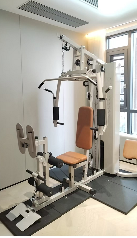 All-In-One Multi-Function Home - đánh giá và giá Home Gym Training