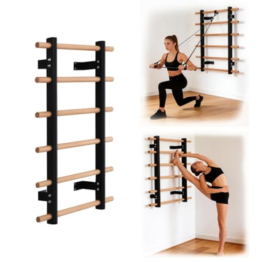 Home gym wall-mounted half bod - đánh giá và giá Home Gym Multi