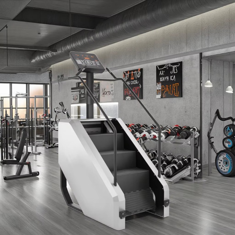 Stair Climber Machine - Heavy  - đánh giá và giá Home Gym Recommendations