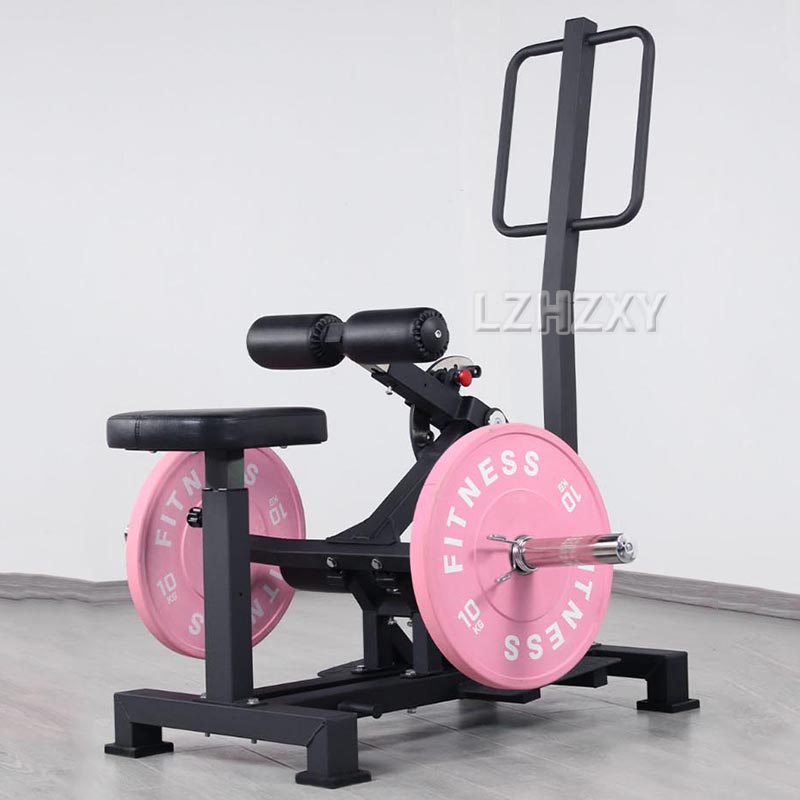 Hip trainer Squatting apparatu - đánh giá và giá Home Gym Simple
