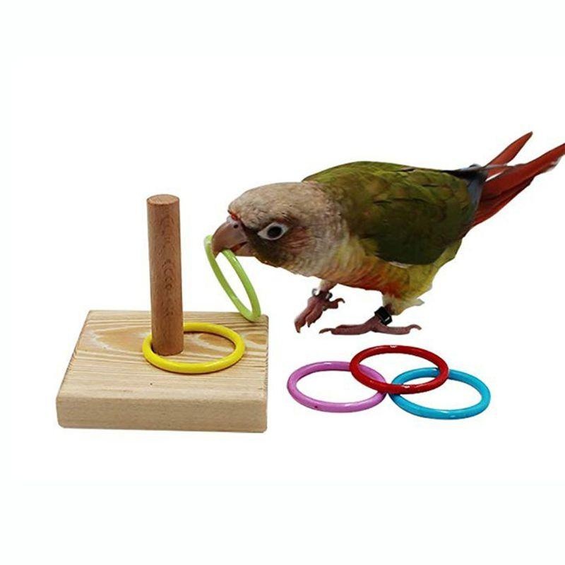 Bird Training Ring Toy Parrot  - đánh giá và giá Gymnastic Rings Wooden