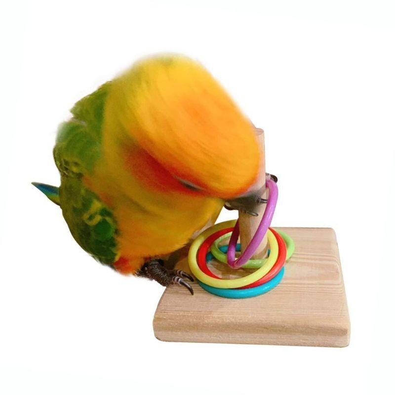 Bird Training Ring Toy Parrot  - đánh giá và giá Gymnastic Rings Wooden