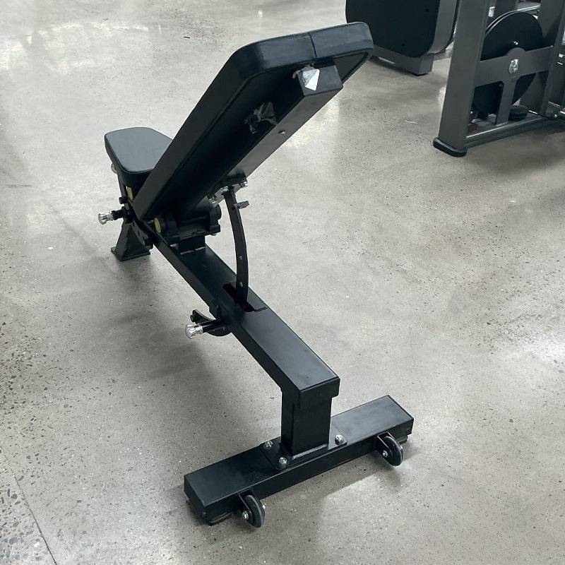 Adjustable Home Gym Dumbbell B - đánh giá và giá Home Gym Portable