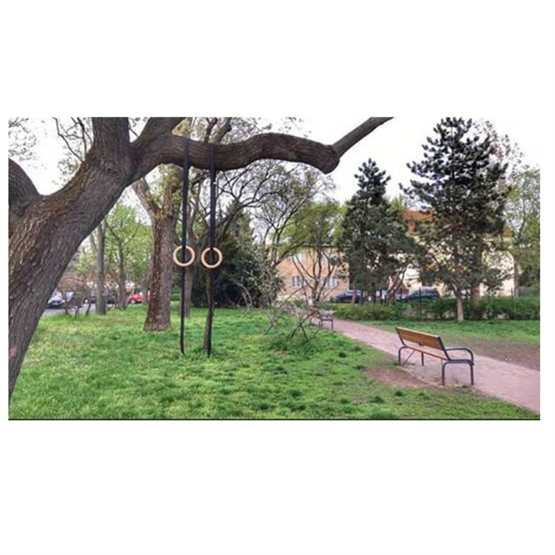 ABYM 38Mm Birch Wood Gymnastic - đánh giá và giá Gymnastic Rings Wooden