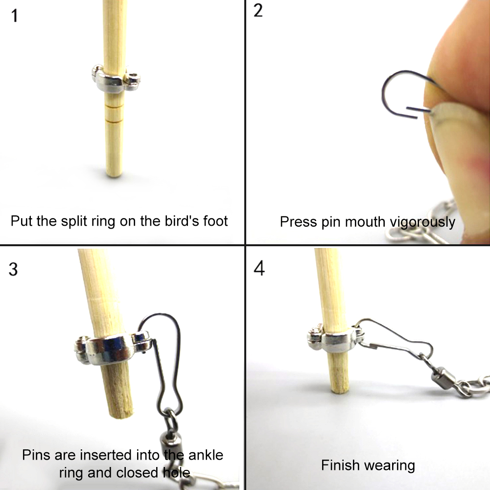 1Pcs Pet Parrot Leg Ring Ankle - đánh giá và giá Gymnastic Rings Wooden